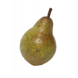 POIRE WILLIAM VERTE AB...