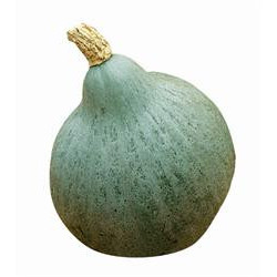 COURGE BLEUE DE HONGRIE...