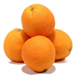 ORANGE NAVEL ITALIE CAL7/8...