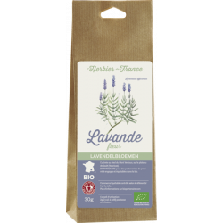 Plante Lavande 30 G X 6