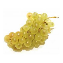 RAISIN BLANC CHASSELAS...