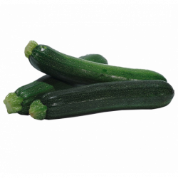 COURGETTE FRANCE PAYS DE...