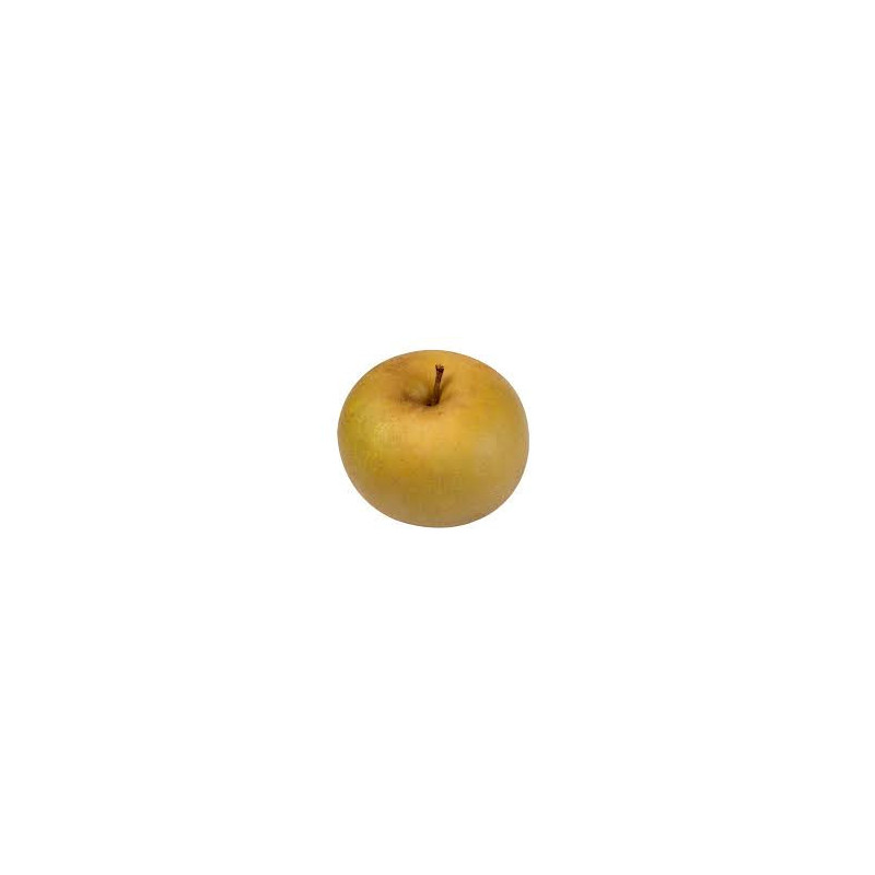 Pommes BIO - Golden - 13kg