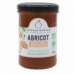 Fruit à tartiner abricot 210 g