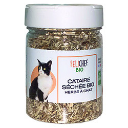 Herbe à chat 40 g