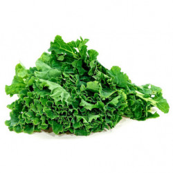 CHOU CURLY KALE PAYS DE...