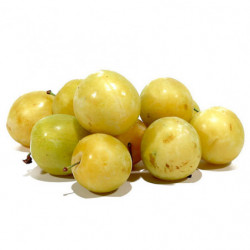 PRUNE JAUNE ESPAGNE CATII 5KG